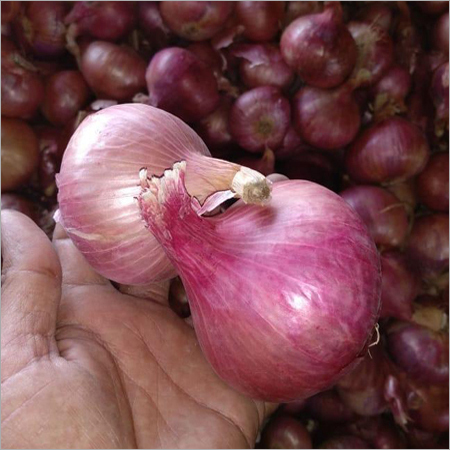 Red Onion