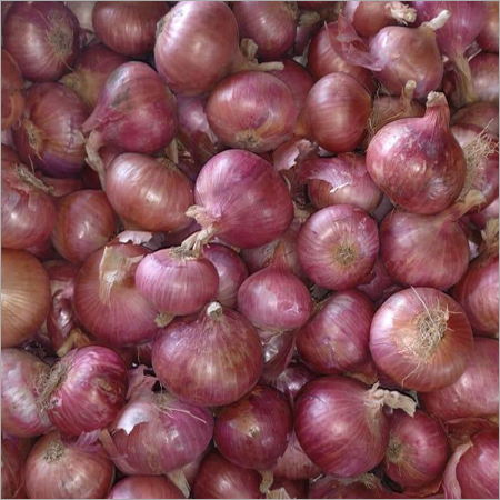 Red Onion