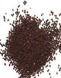 Mustard Seeds