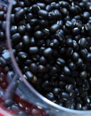 Black Soya Beans