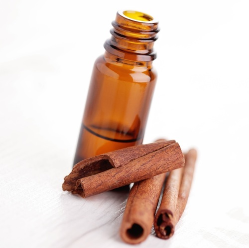 Cinnamon Bark Oil Storage: Store In Cool