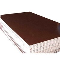 Commercial Shuttering Plywood