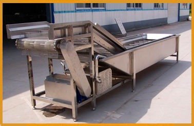 Stainless Steel Fruit And Vegetable Washer