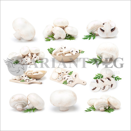 Button Mushroom - Fresh, 200 Kilograms , White Color, Grade A, Cultivated Source, Nutrient-Rich Fungi with Positive Health Effects