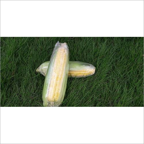 American Sweet Corn