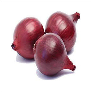 Fresh Red Onion