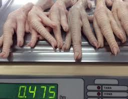 Frozen Chicken Feet