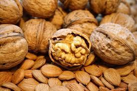 Walnut