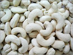 Cashew Nut