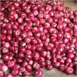 Fresh Red Onion