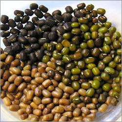 Urad Dal