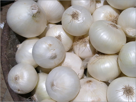 White Onion