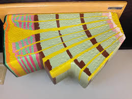 Dicot Stem Model Dicot Stem Model