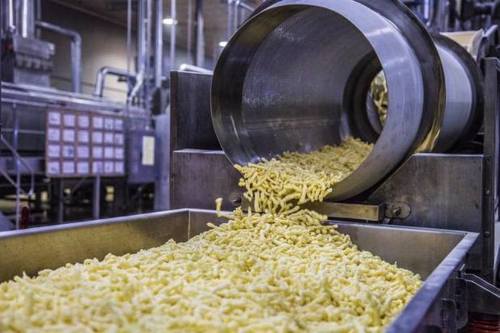 Extruded Snacks Processing Consultant