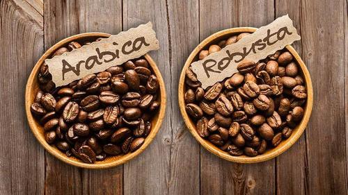 Arabica Coffee Beans