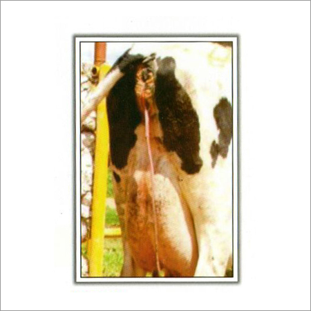 Herbal Uterine Tonic