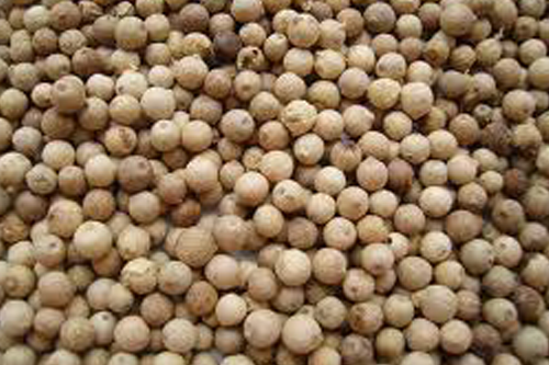 white pepper