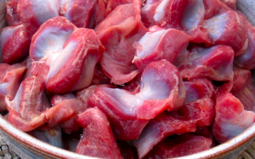 Chicken Gizzard