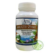 Multizyme Digestive Enzyme)