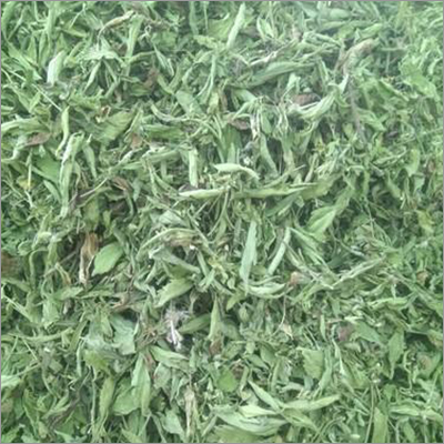 Stevia Leaves