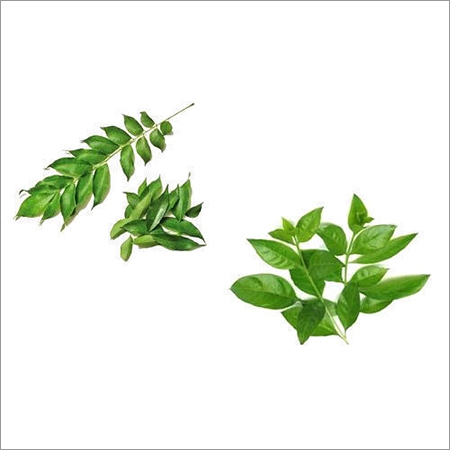 Henna Leaves