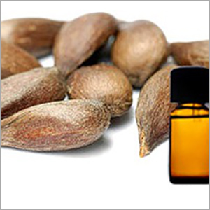 Sugandh Mantri Oil - 100% Pure Fluid Liquid | High Purity, Mesmerizing Aroma, Immune Strengthening, Nervous System Healing