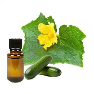Cucumber Oil Cas No: 89998-01-6.