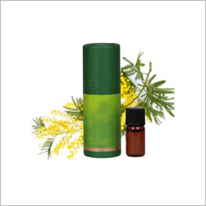 Mimosa Absolute