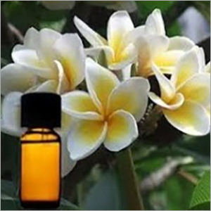 Fragrance Oil