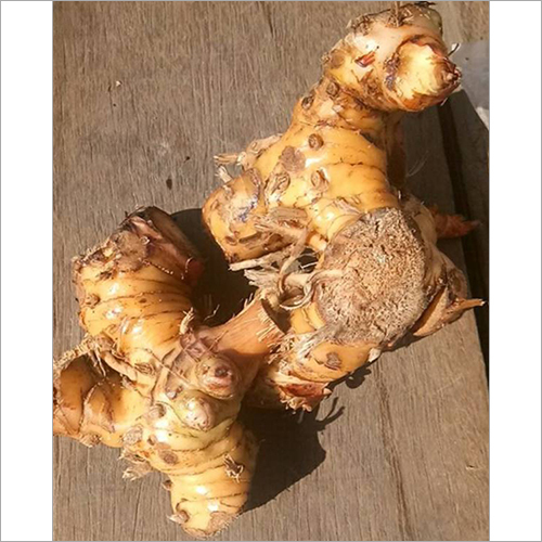 Thai Ginger Store In Cool