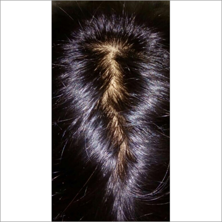 Natural Look Wig - Human Hair, Black, Medium Density | Lace Front, Multiple Styles, Durable, Comfortable