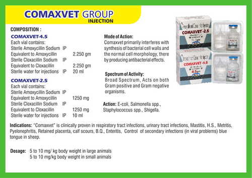 Amoxicillin and Cloxacillin for Injection (Comaxvet)