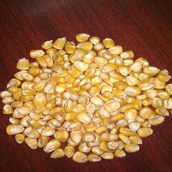 Yellow Corn Admixture (%): 2%