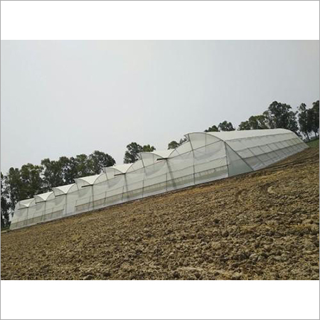 Natural Ventilated Poly House