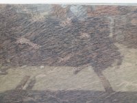 Tiger Skin Granite