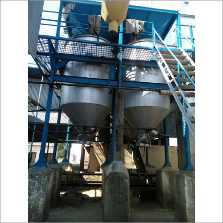 Rice Plant