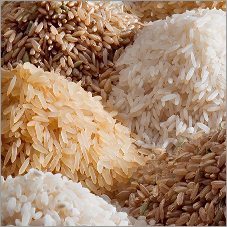 Rice