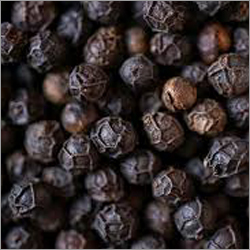 Black Pepper