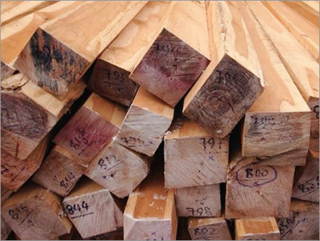 Teak Wood Logs