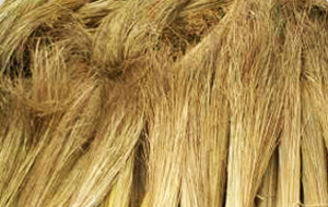 Raw Broom Materials