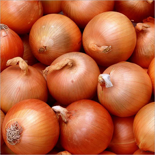 Organic Fresh Yellow Onion