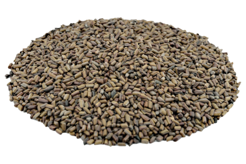 TORA SEEDS - Herbal Seed Extract | Rich Profile of Hexahydroxy Flavones, Hydroxycoumarin, Fatty Acids, and Anthrones for Diverse Applications