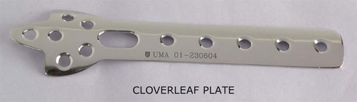 Cloverleaf Plate