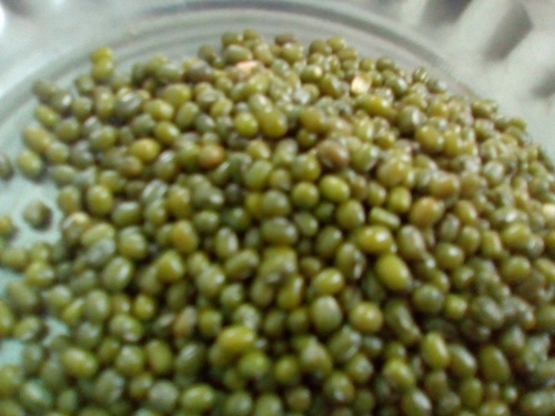 Green Millet Admixture (%): 1%