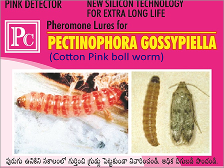 Pink Boll Worm Pheromone Lures