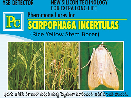 Scirpophaga Incertulas Pheromone Lures