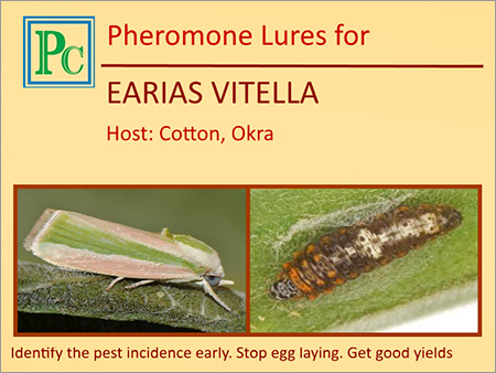 Earias Vitella Pheromone Lures