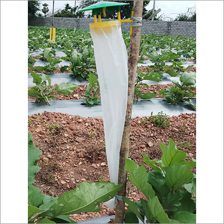 BP Phero Sensor Trap