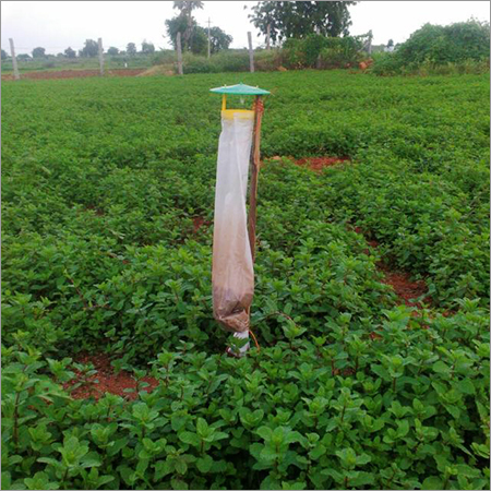 SP Phero Sensor Trap