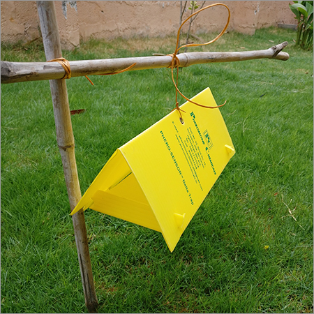 Phero Sensor Delta Sticky Trap